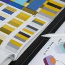 Brand Identity & Creative